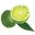 Key West Key Lime Pie Company logo