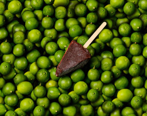 12 Key Lime Pie Chocolate Dipped Bars